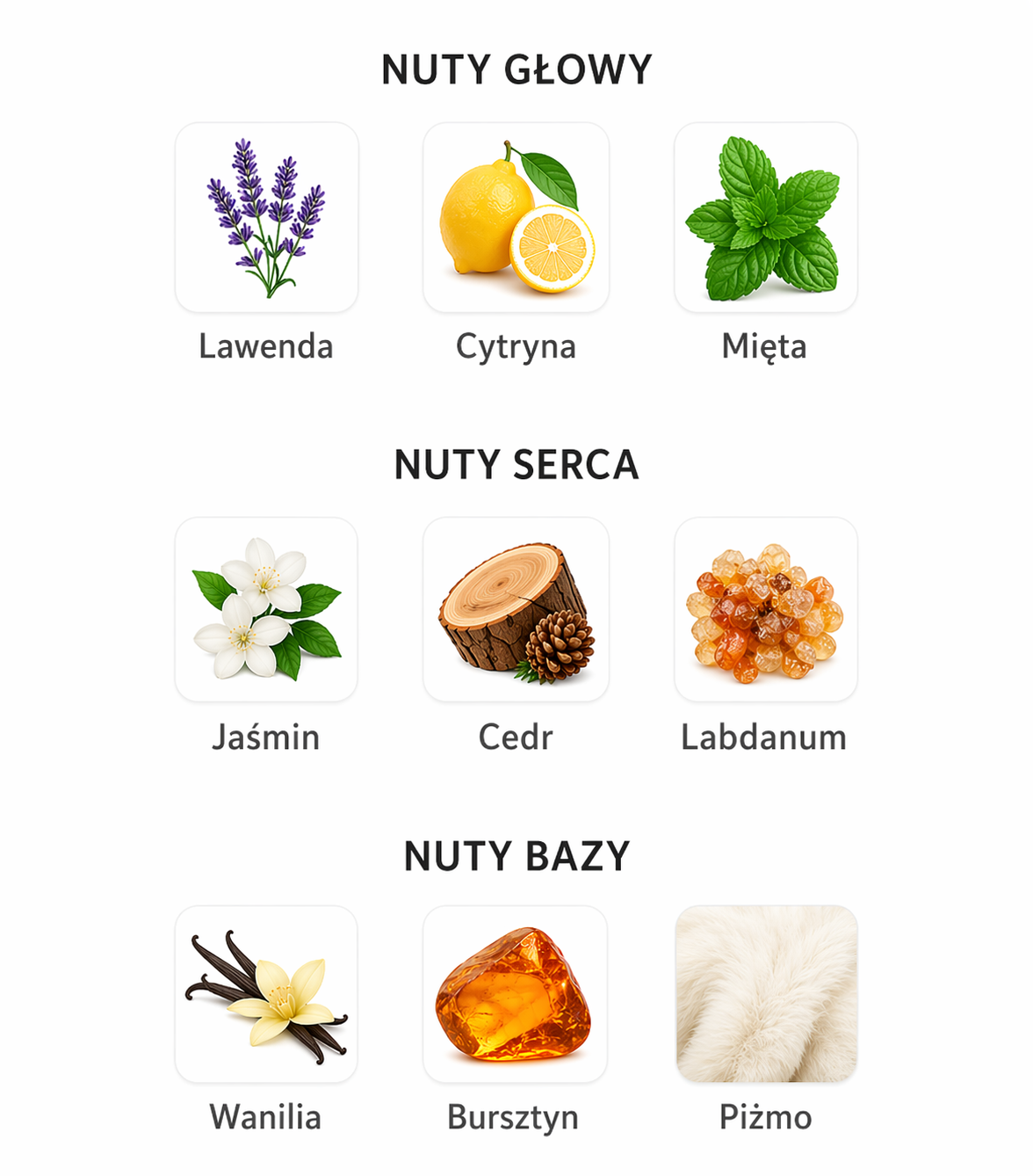 French Avenue Marmara - Odlewka perfum