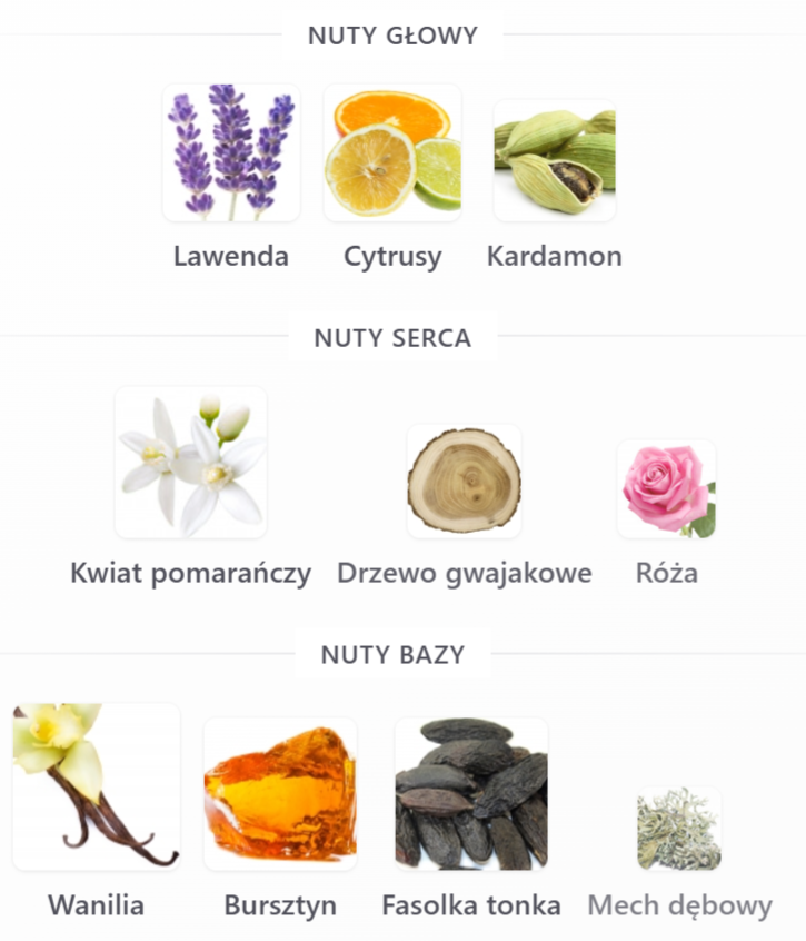 French Avenue Liquid Brun Limited Edition - Odlewka perfum