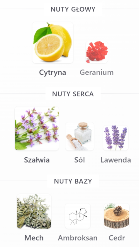 French Avenue Ravine Ice - Odlewka perfum