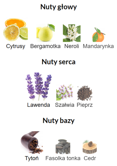 Dolce&Gabbana Pour Homme