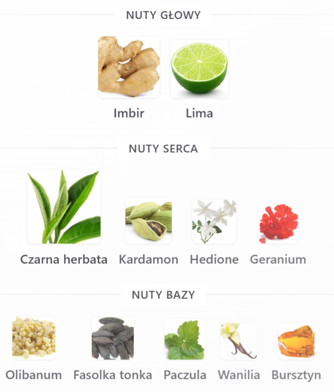 French Avenue x Aromatix Teas Me - Odlewka perfum