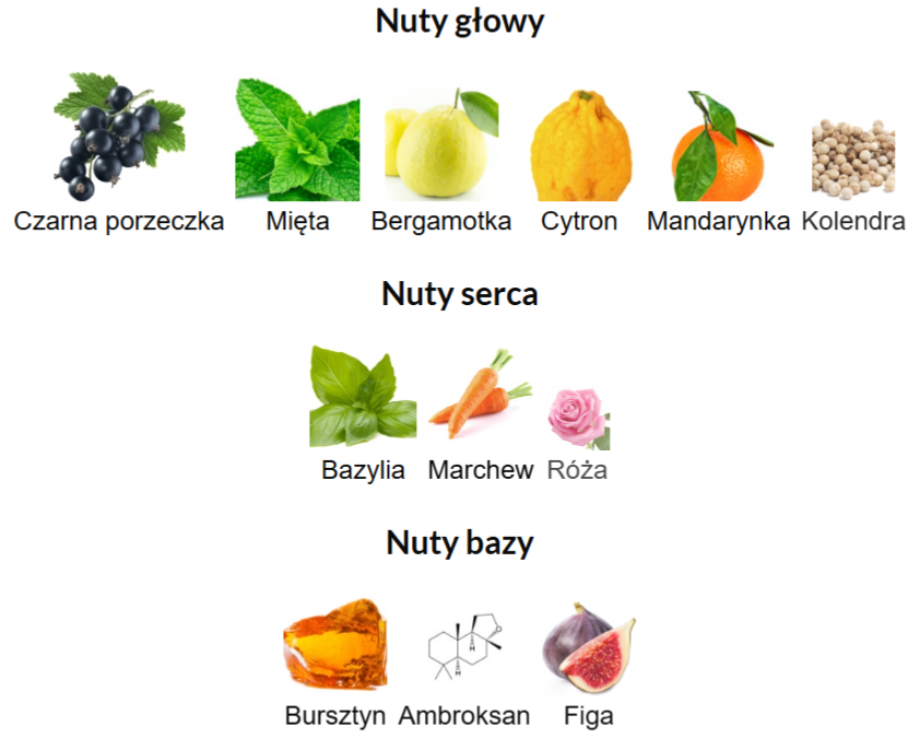 Rayhaan Pacific Aura