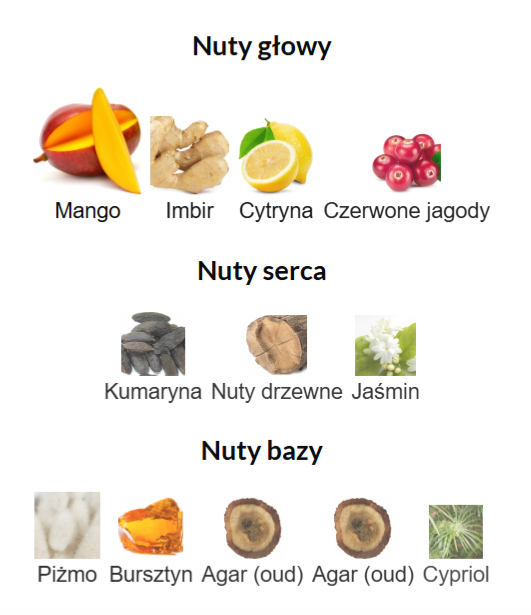 Paris Corner Ophidian Mango Bliss