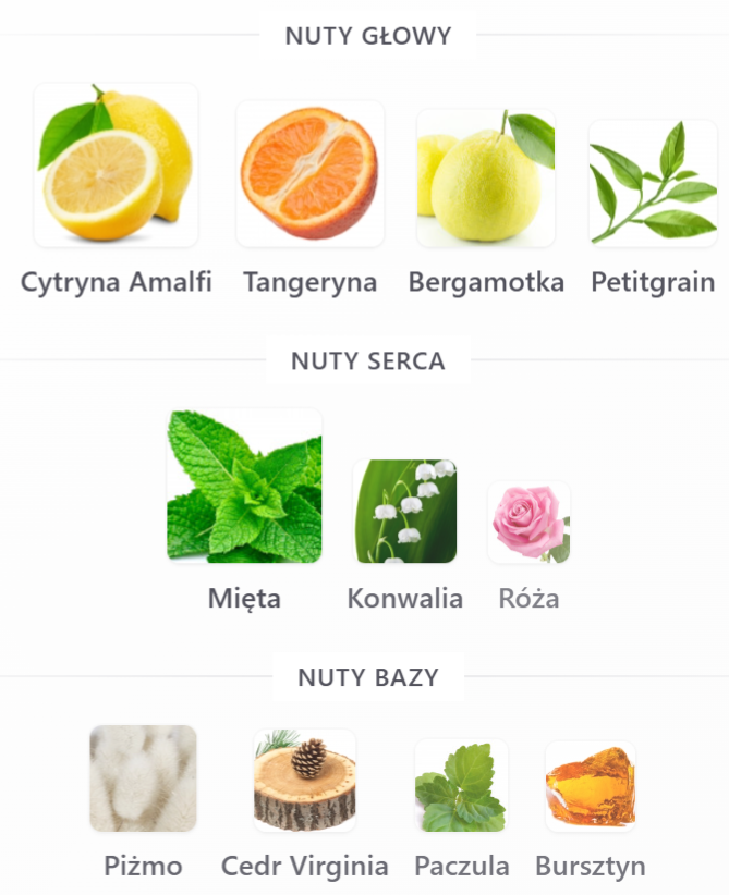 Xerjoff Renaissance - Odlewka Perfum