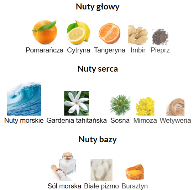 Mancera French Riviera