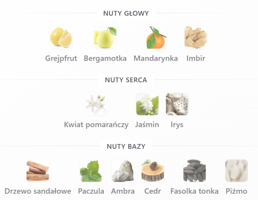 Maison Asrar Regent - Odlewka perfum