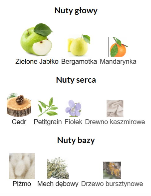 French Avenue Aether