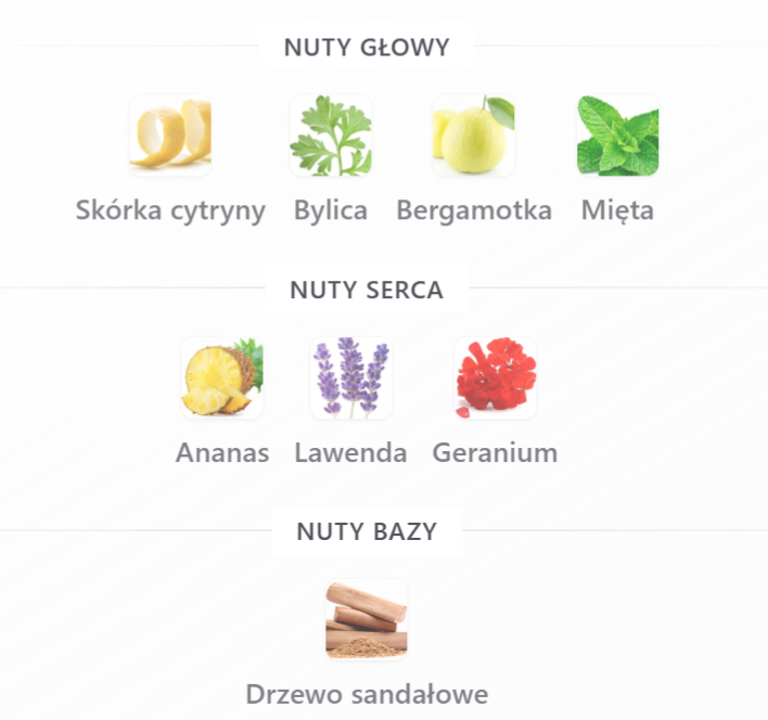 Rayhaan Nocturno Elixir - Odlewka perfum