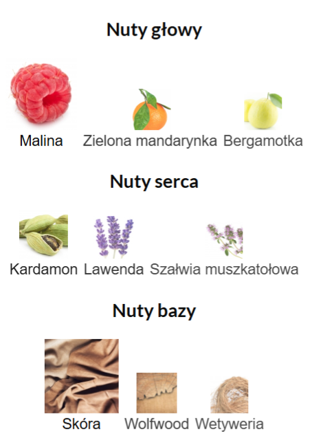 Azzaro Forever Wanted Elixir