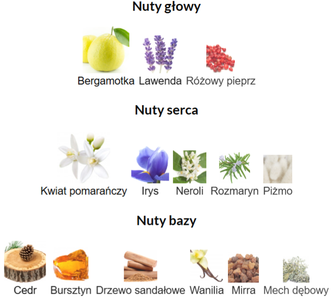 French Avenue X Aromatix Magnetiq