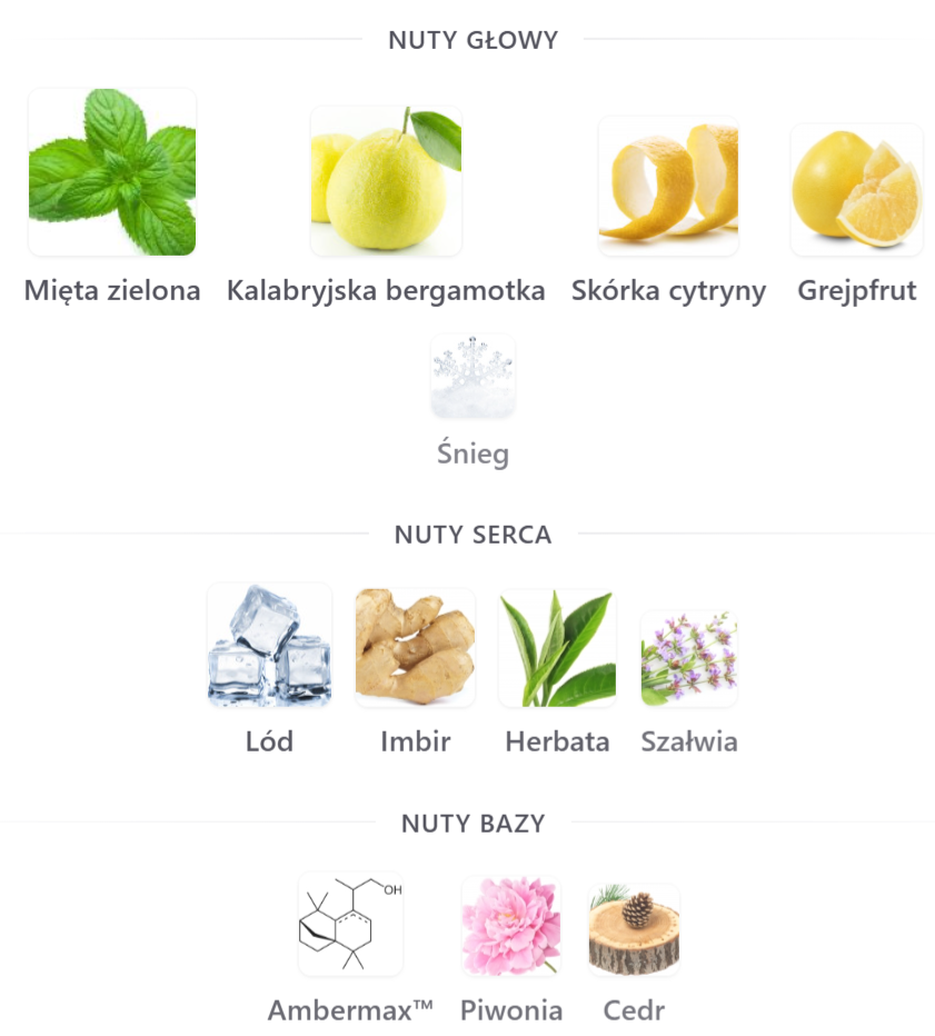 Riiffs Freeze - Odlewka perfum