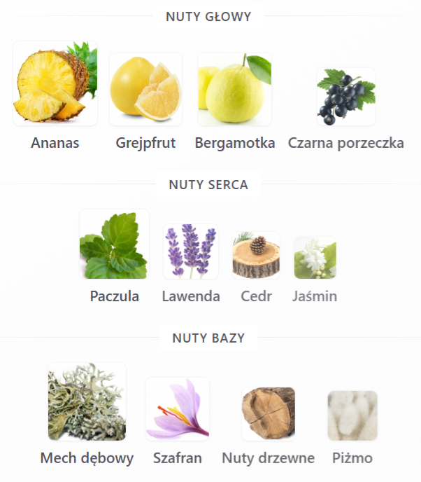 Théorème Matrix Rue Broca - Odlewka perfum
